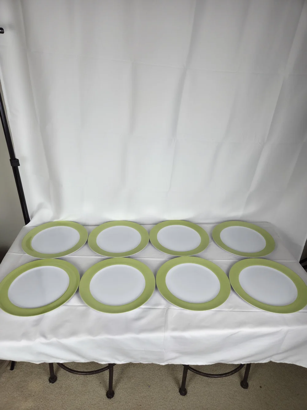 Plastic Picnic Plates 11